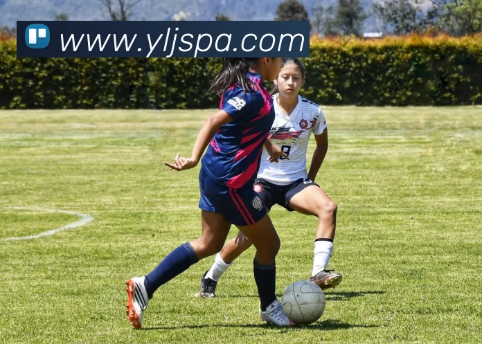 pa真人视讯服务体系